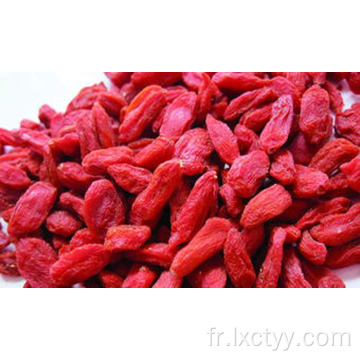 baies de goji lyophilisées